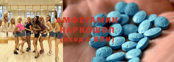 твердый Алексин