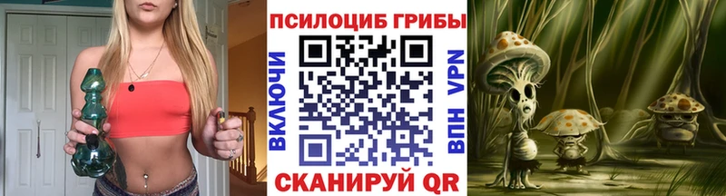 Псилоцибиновые грибы мицелий  наркошоп  Дмитров 