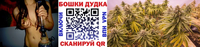 Конопля гибрид  Дмитров 